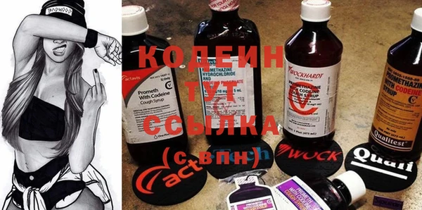 молекула духа Покачи